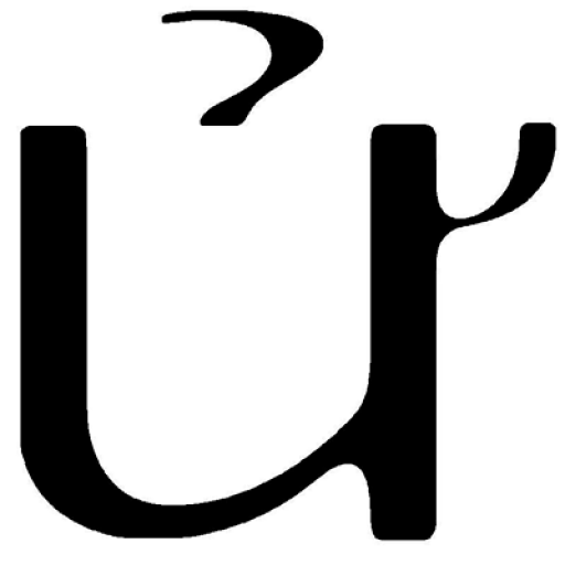 a with umlaut times new roman