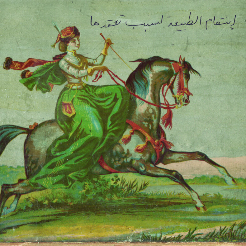 Nature in its Inscrutability Strikes Back (CD)